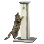 Elegant Grey Cat Scratching Tower